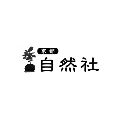 塊根植物(コーデックス)とは?人気の理由を解説