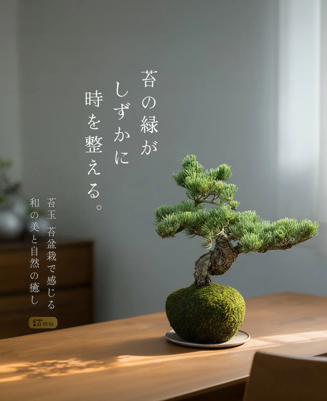 苔玉＆苔盆栽のある暮らし | 自然社